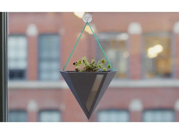 Fuze Hanging Planter