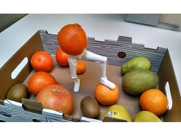 Legs for Fruit