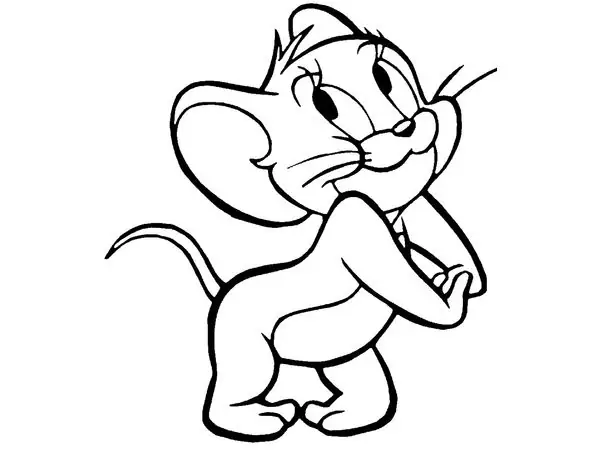 2D Jerry 2