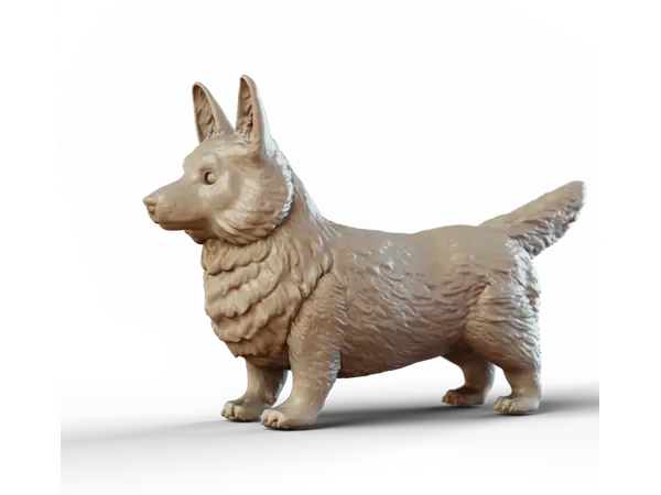 Corgi - neutral