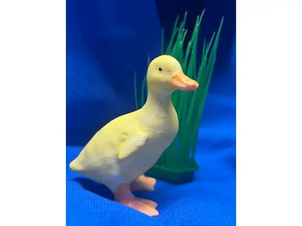 Duckling