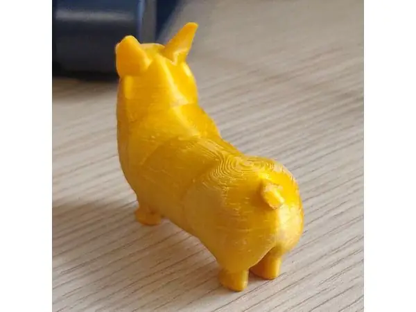 corgi