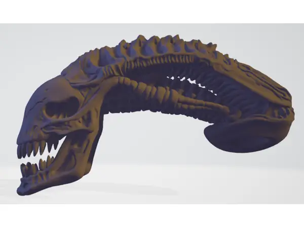 ALIEN XENOMORPH SKULL 1:1 SCALE