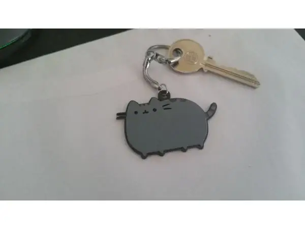 Pusheen the cat