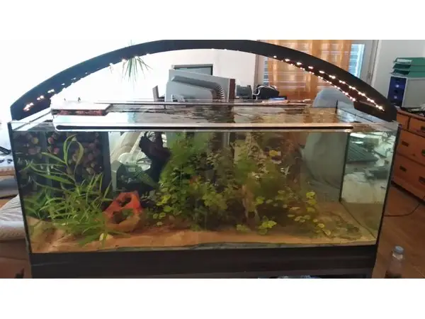 Aquarium light