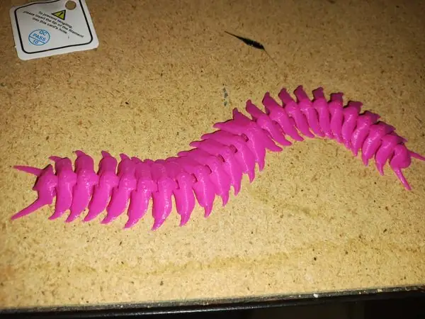centipede
