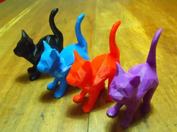 faceted cat