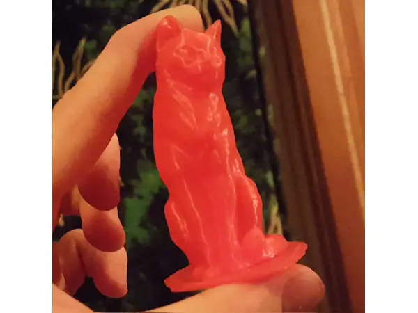 3D-Scanned Cat