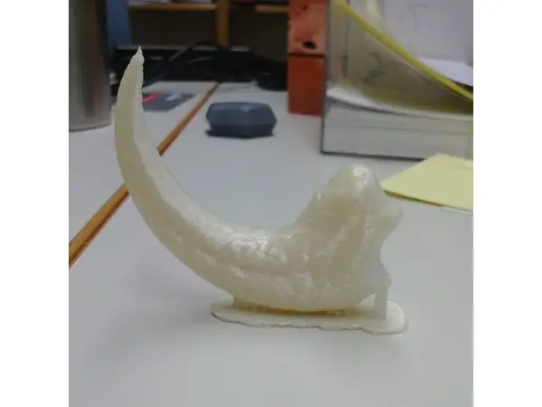 Velociraptor dinosaur claw