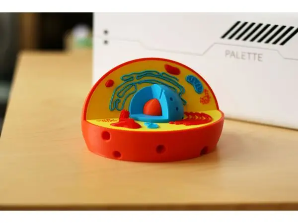 Multi-Color Cell Model