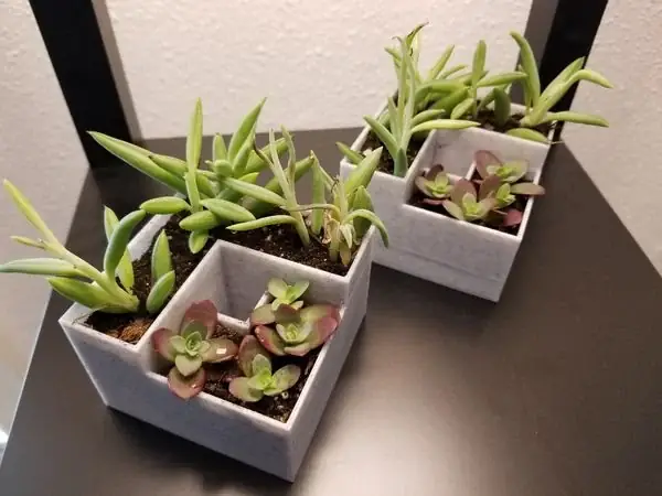 Self Watering Planter