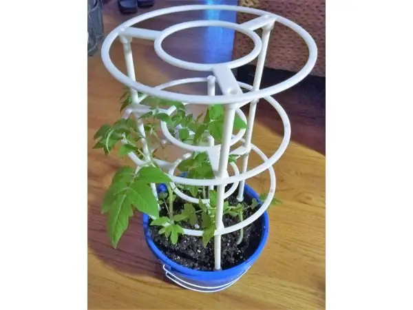 Plant support