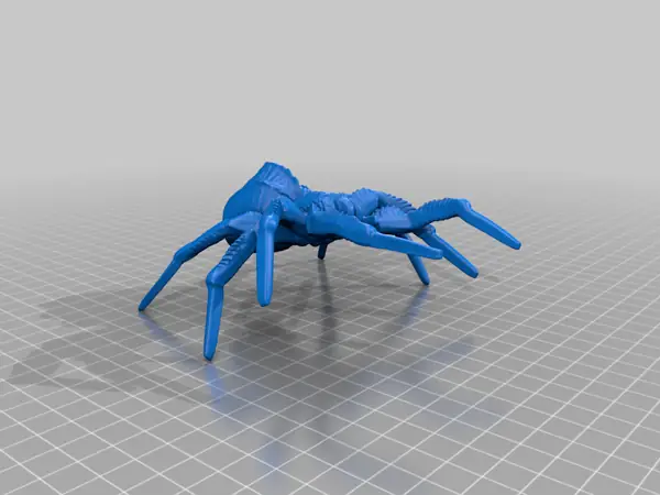 Spiders
