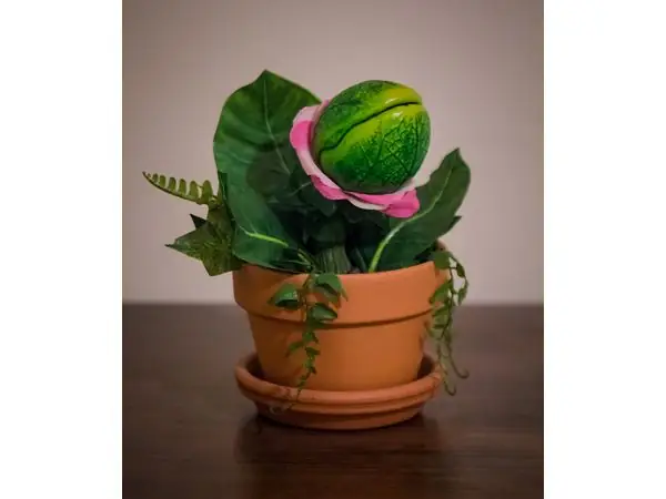 Audrey II - Little Shop of Horrors