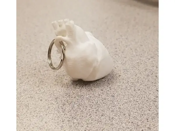 Anatomical Heart Keychain