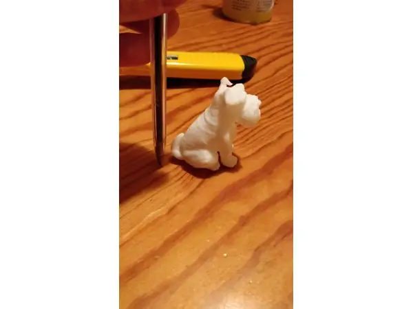 Schnauzer