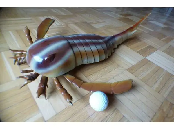 Sea scorpion