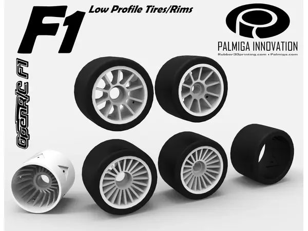 Low Profile Tires/Rims for OpenR/C F1 car