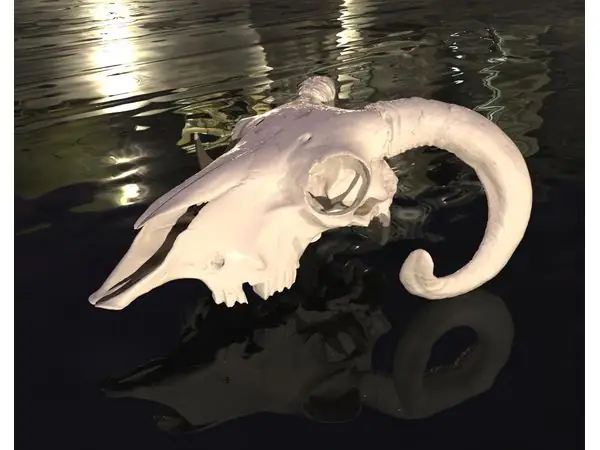 Ram scull real scan (For remixes)
