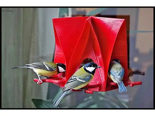 Window or wall bird feeder!