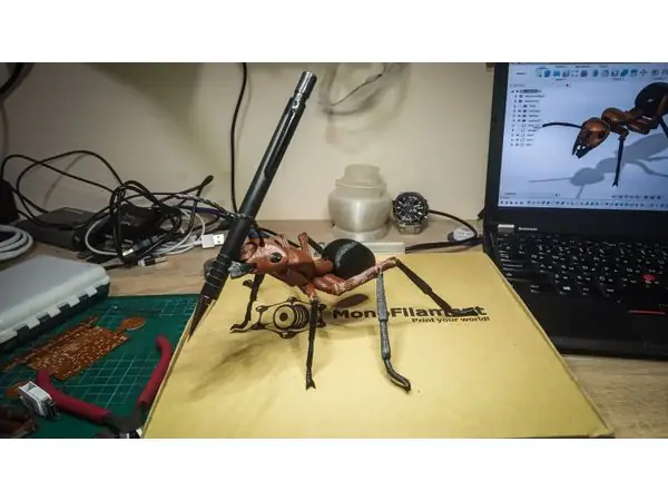 Ant