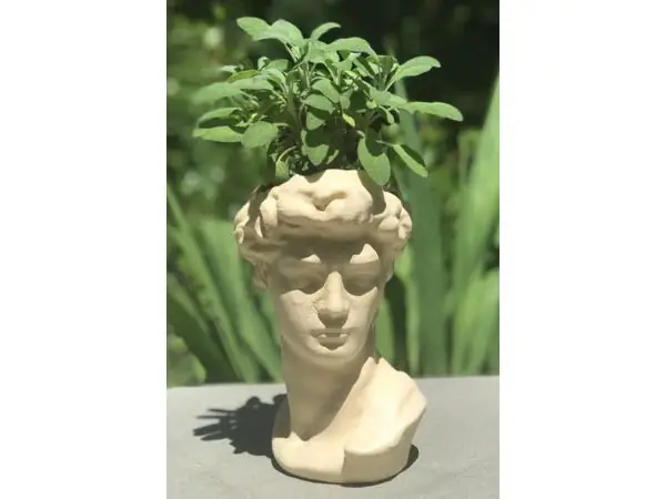 David Head Planter
