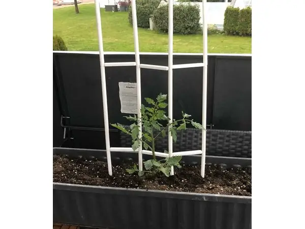 plant support - Blumenstütze