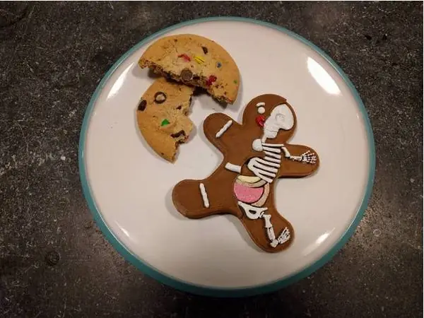Gingerbread Man Anatomy