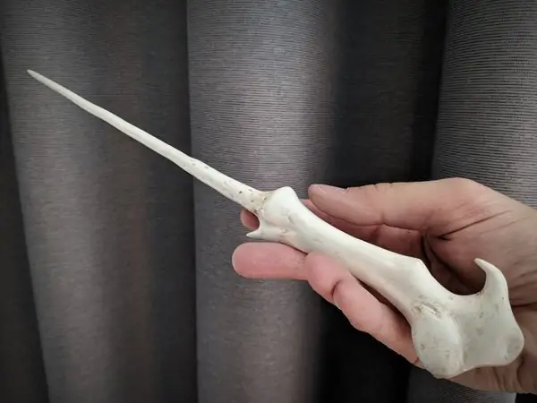 Voldemort's Wand