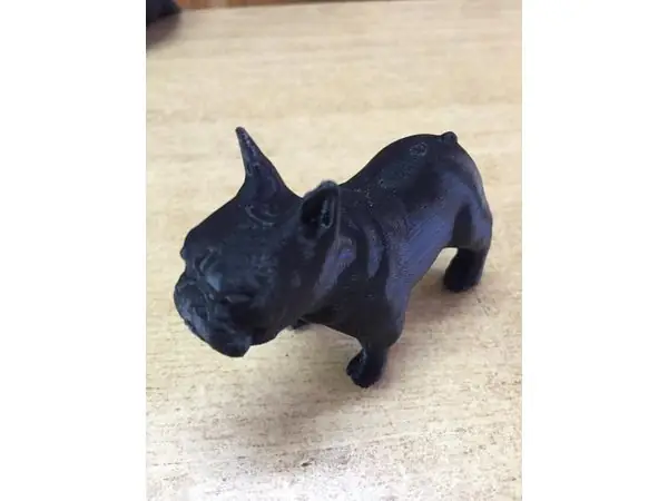 French Bulldog