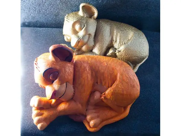 Sleeping Simba