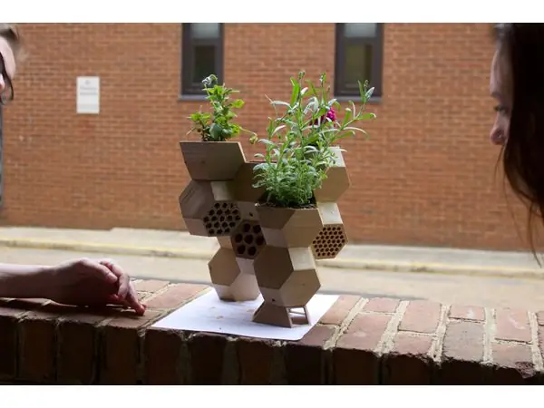 bee b&b: an escape for urban solitary bees