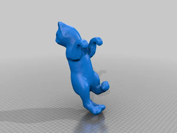 Hanging Cat