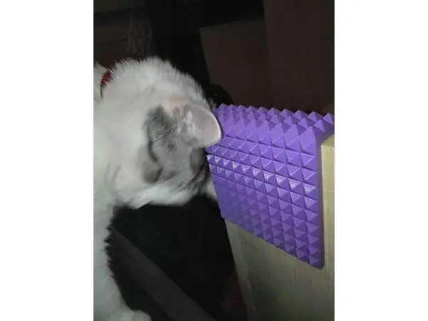 Cat Scratcher
