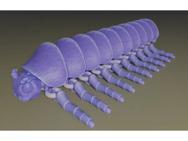 Centipede - articulated STL model for 3D printing