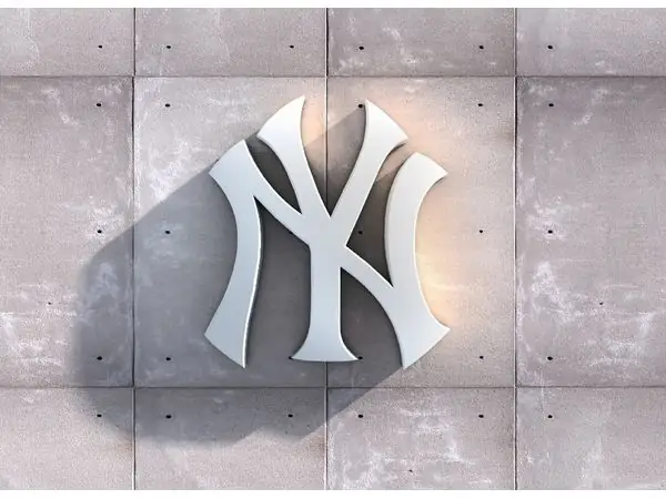 New York Yankee Logo