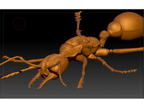 Red Bull Ant