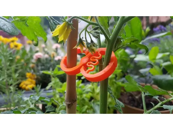 super awesome Plant Clip