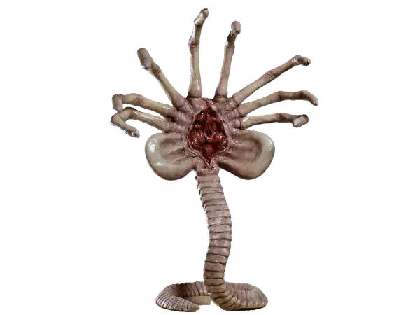 FACE HUGGER ALIENS