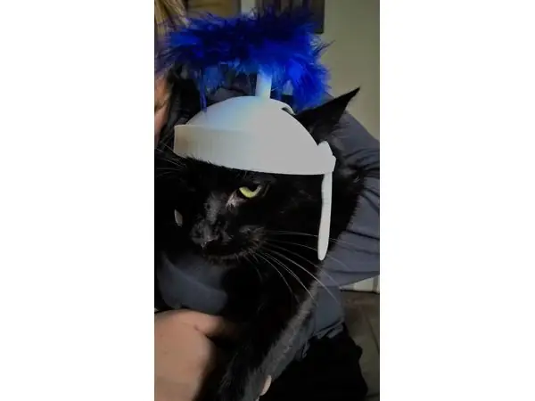 roman cat helmet