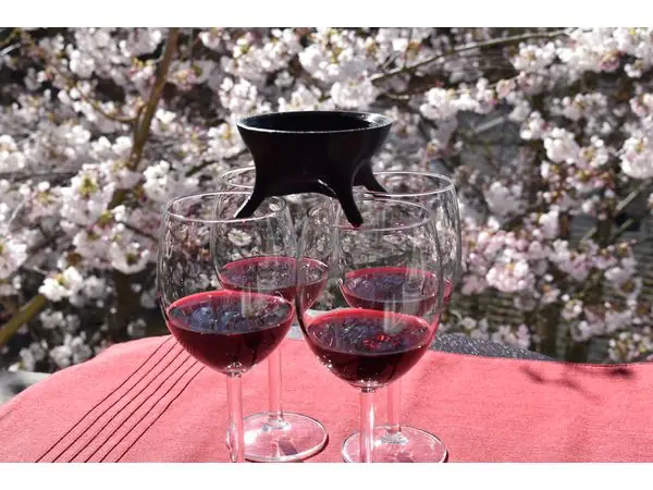 Wine Dispenser