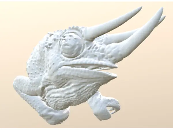 Jackson’s chameleon