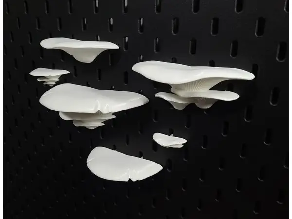 SKÅDIS Mushroom Shelves