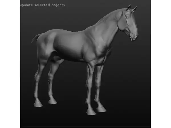 Horse Model