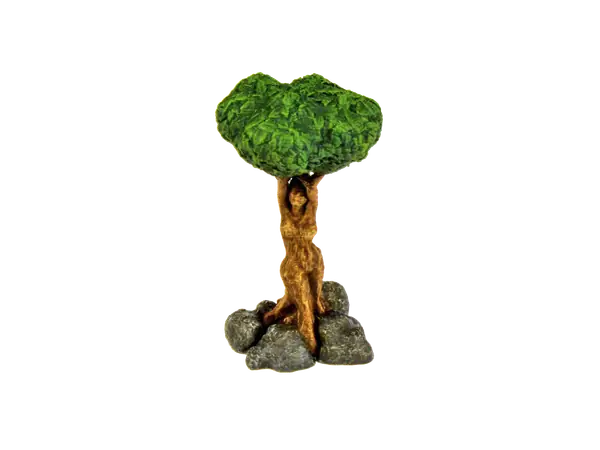 Dryad