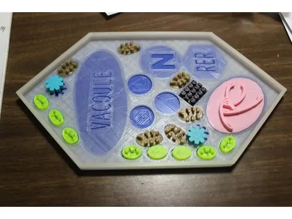 Plant Cell Puzzle