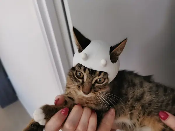Space Captain Ruski Puss Helmet - A Space Helmet For Your Cat