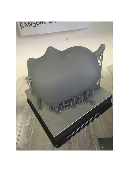 PUSHEEN
