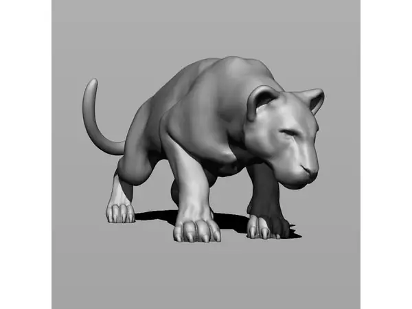 Tiger