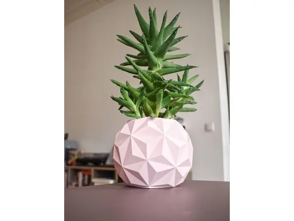 Geodesic Planter Pot